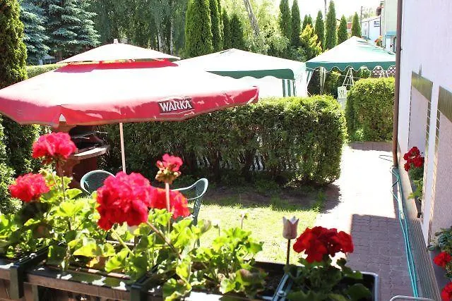 Foczka * أوستكا